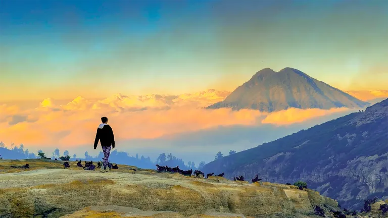 Mount Ijen Sunrise Adventure Ijen Villas by Comfy Villas