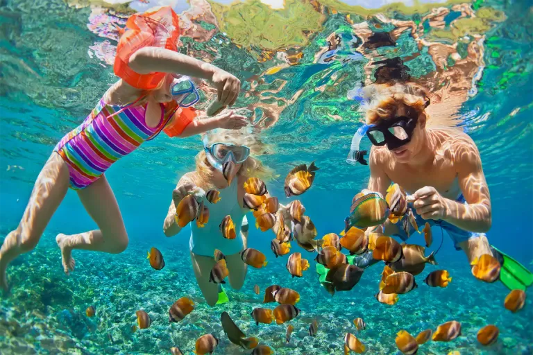 Snorkelling Adventure Ijen Villas by Comfy Villas